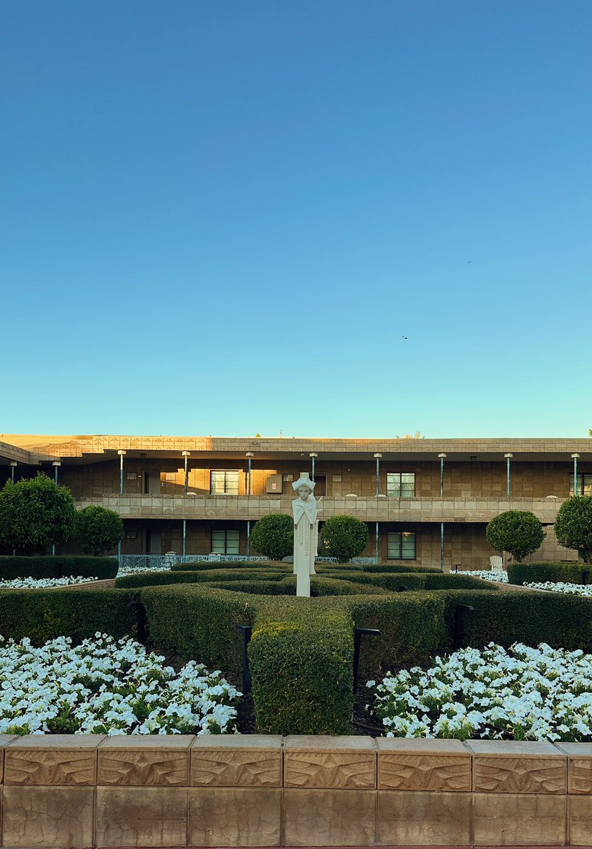 DeWayne Roy tweet media