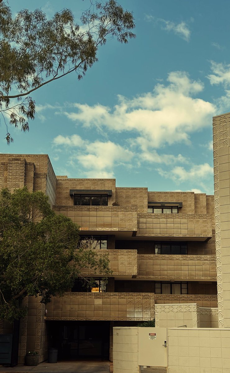 DeWayne Roy tweet media