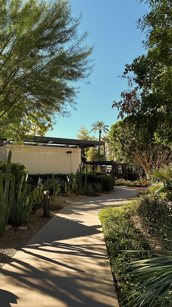 DeWayne Roy tweet media