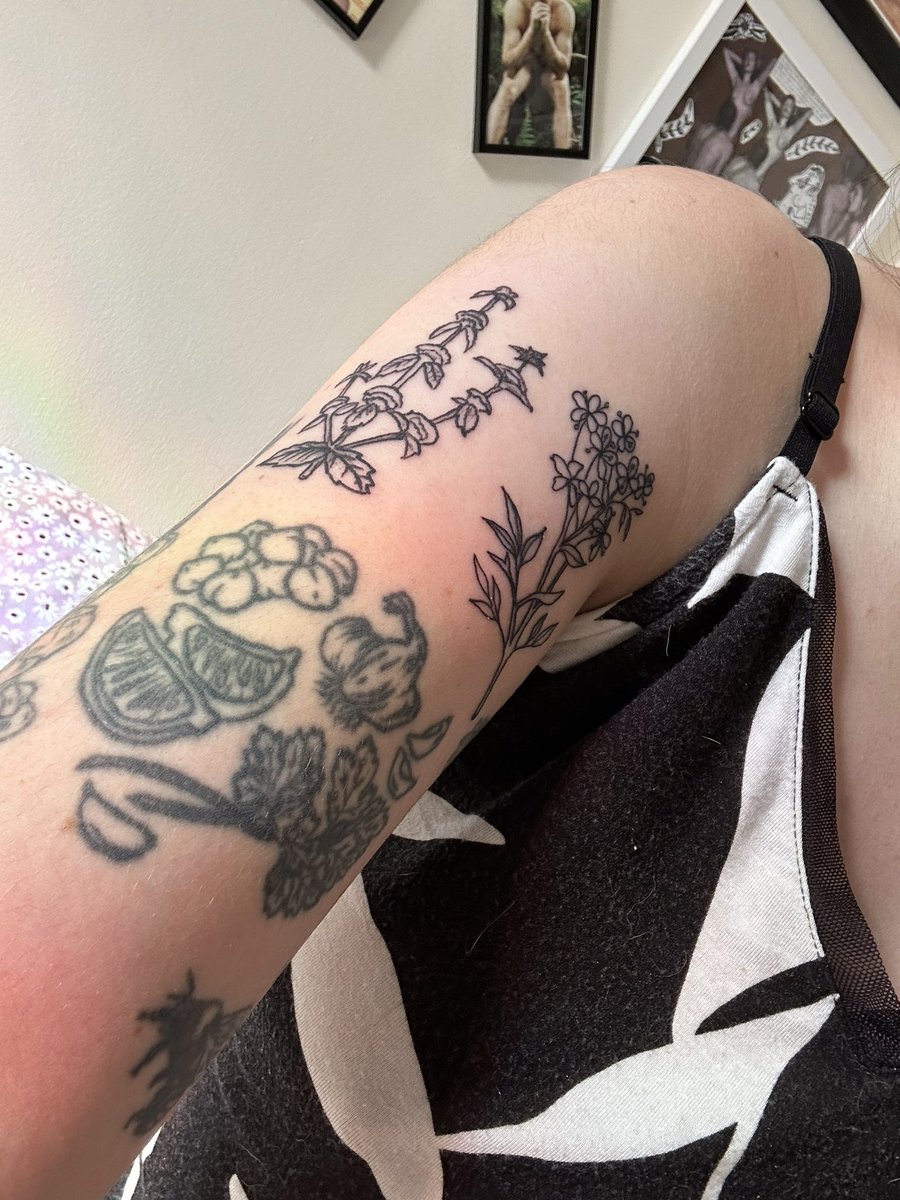 annapshields's tweet photo. very excited about the two lil abortifacient herbs i got last night at the First State Abortion Fund Choice and Chill fundraiser at PUSH Tattoos last night!! pennyroyal and rue #FundAbortions #FSAF https://t.co/osi7k8eTzT
