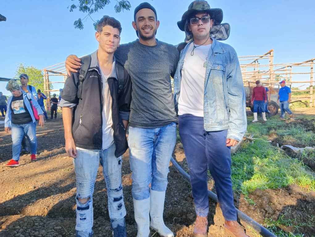 Nuestros estudiantes en la agricultura...bajo el sol hacen un aporte a la economía de #Cuba en este Día Internacional de los Estudiantes. Nuestro presidente de la <a href="/FeuVilla/">FEU UCM Villa Clara</a> , el joven <a href="/DonaySander/">Sander Donay</a> presente en la tarea. #CubaPorLaSalud