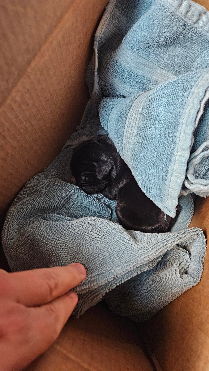 Wreckless Eating tweet media