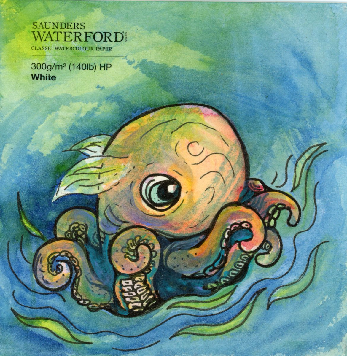 LifeImitatesDdl's tweet image. #DoodlewashNovember2024 prompt: Octopus. Did you know the flapjack octopus is so named because it can flatten itself out as thin as a pancake? @kuretakezig_usa Managaka Zig Pigment pen &amp;amp; #paulrubensart Watercolor  on Saunders Waterford. @st.cuthberts.mill #WorldWatercolorGroup