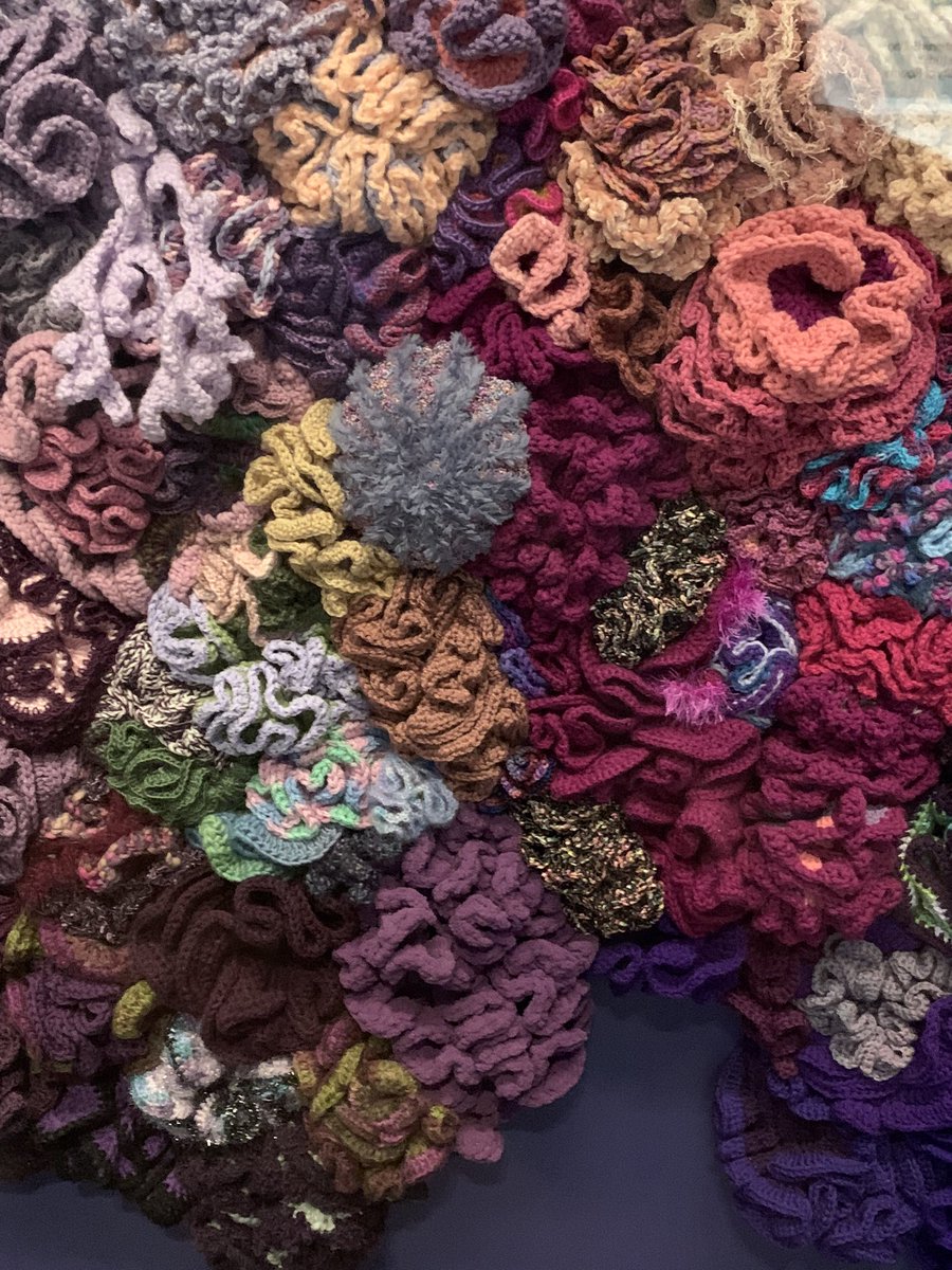 I got to see the wonderful #crochetcoralreef created by <a href="/margaretwerth/">Margaret Wertheim</a> at the Carnegie Museum Art. There are so many interesting creatures in this collection. Also great to see <a href="/KayBrummond/">Kay Brummond</a> and learn about sustainable lab practices 😃.