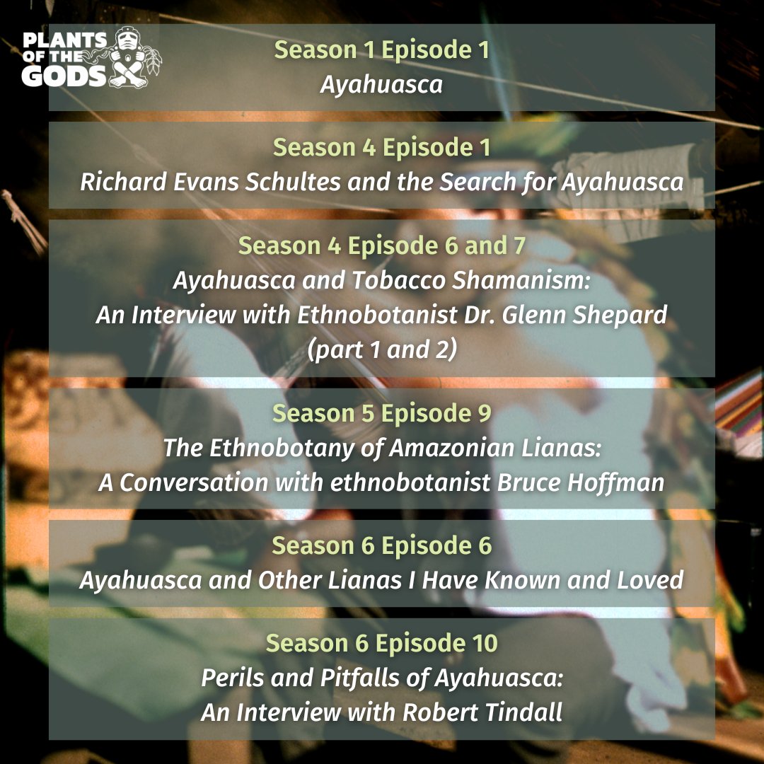 PlantsofGodsPod's tweet photo. Ayahuasca holds incredible transformative power, but there's another side to its story. Listen to last week's ep as #DocMarkPlotkin &amp; guest reveal the darker side of ayahuasca's commercialization. Don't miss the next part in the #POTGAyahuasca journey!
https://t.co/QU4Cvl1Uox https://t.co/CiqEqxnL4Y