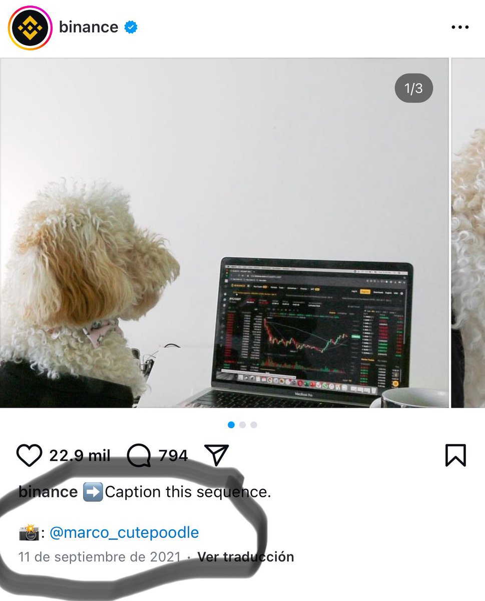 PikaPikaLore's tweet photo. Enters $MARCO

Marco is a dog of a photographer who often shoots pictures of their dogs (Marco and Hani) for @binance 

Instagram: 

https://t.co/6Keh1xIWvo

Marco featured here:

https://t.co/4pWYMTEddR

Hani:

https://t.co/QjFTHES83p

$FUR real name is Marco based on these evid https://t.co/b58WwBbkGW