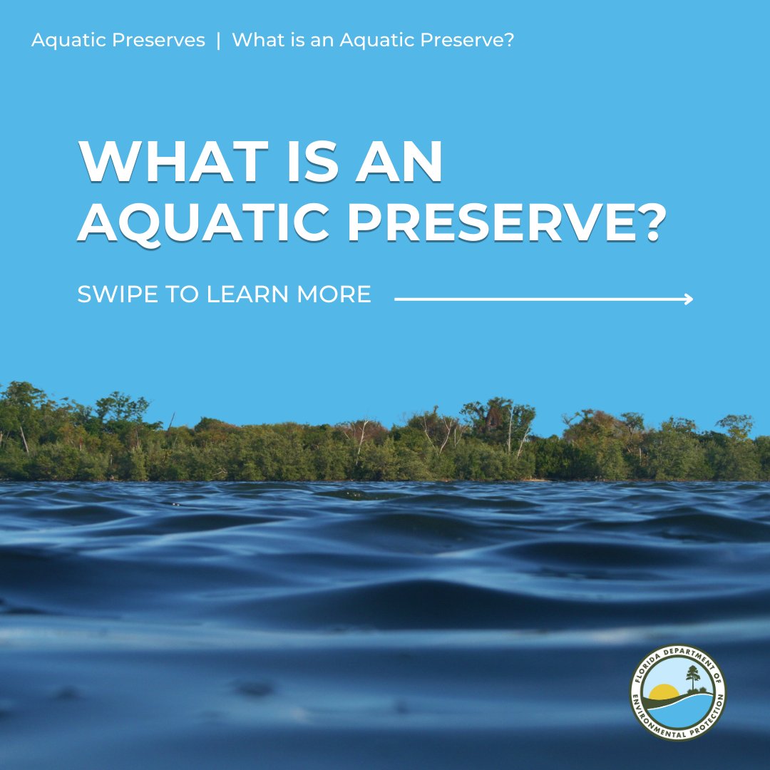 Florida DEP News tweet media