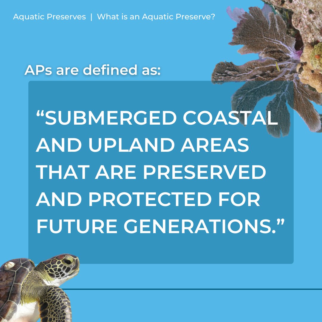 Florida DEP News tweet media