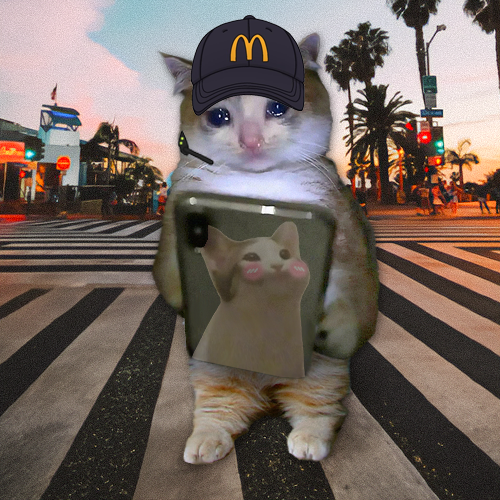 $HMU tweet media