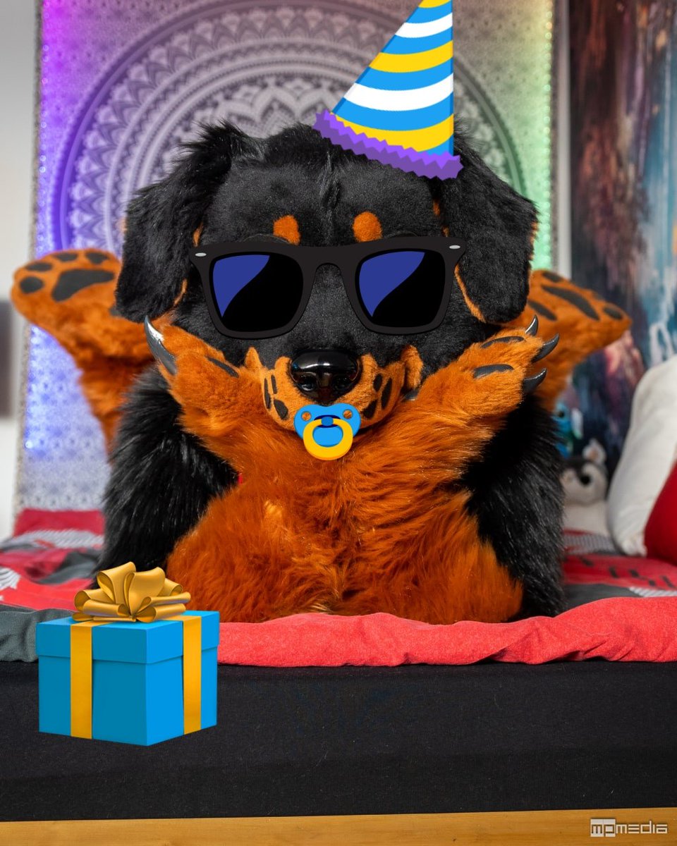 Rocky the Rottie tweet media