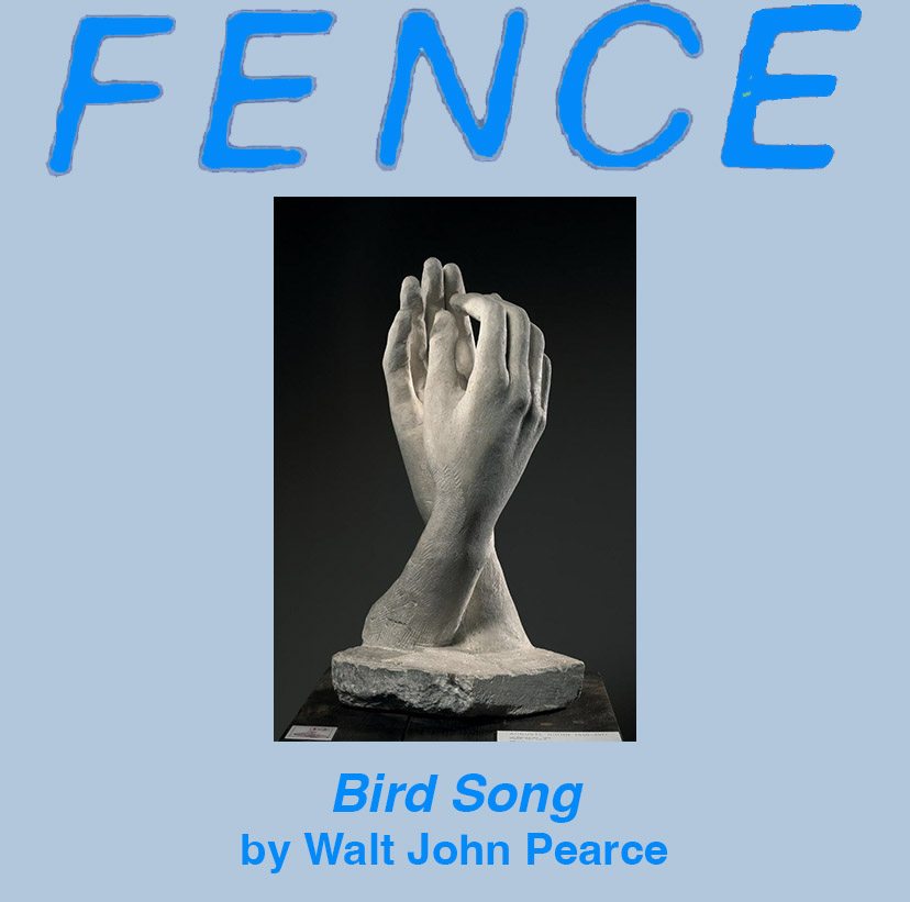 FenceBooks's tweet image. &quot;It will be fine yes it will be fine. Don’t leave yet yes not yet yes not yet. I won’t leave yet not yet yes not yet will you stay a while yes will you stay a while.&quot;

Read “Bird Song,” a new story by @waltjohnpearce. 

Up now on Fence Steaming: fenceportal.org/bird-song/