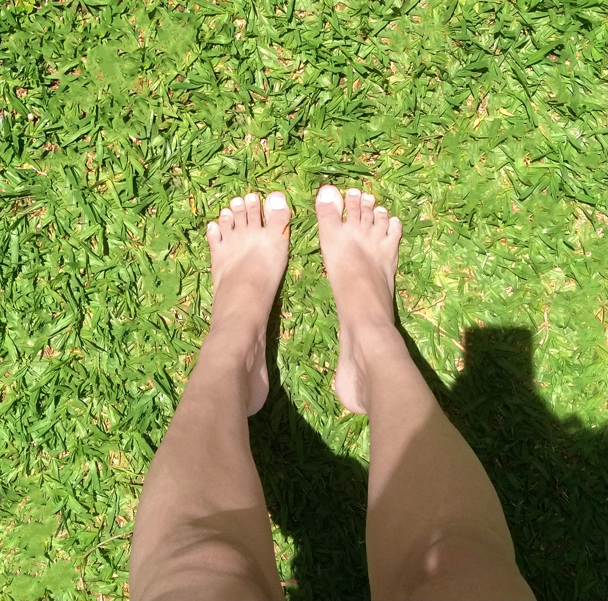 Maddiezetta's tweet photo. "Just feeling the grass beneath my feet. 🍃"

#FeetPics
#Toes https://t.co/khYec1Ug4u