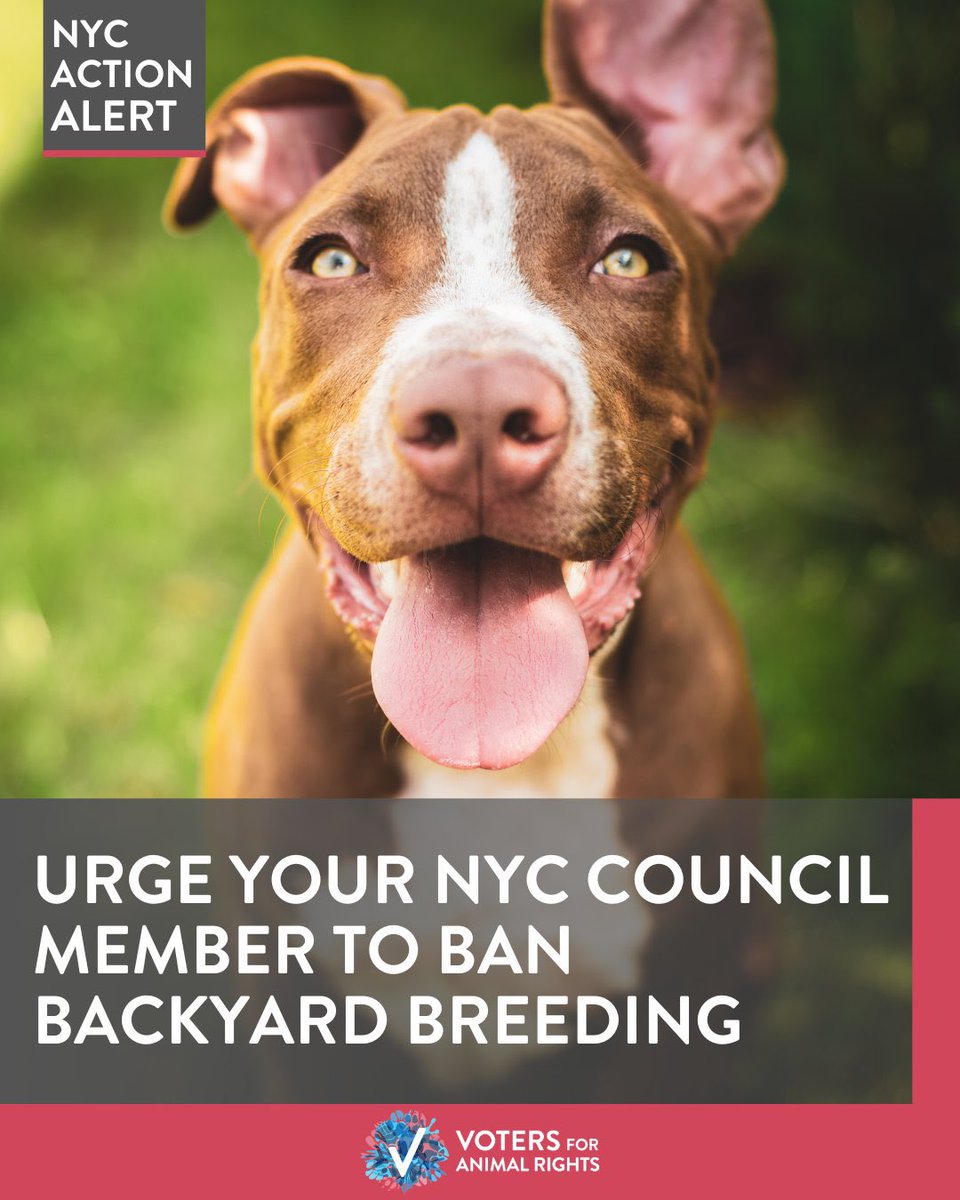 Voters For Animal Rights tweet media