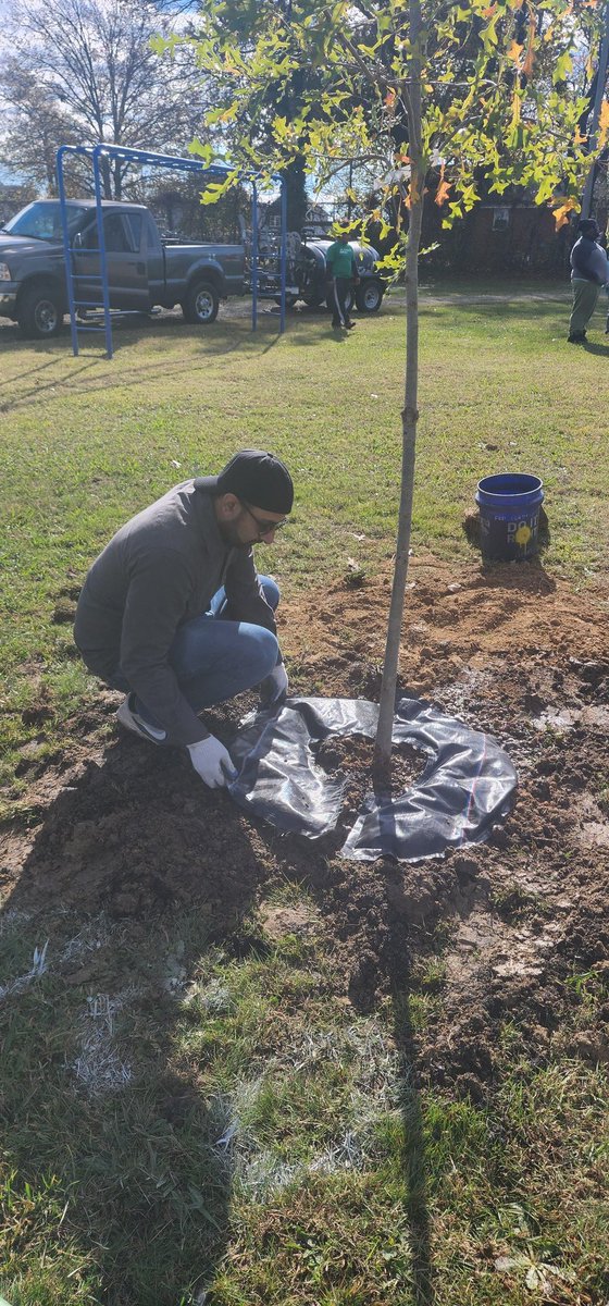 MKA_Richmond's tweet photo. Yesterday, Richmond khuddam partnered up with Bay Foundation in a tree planting event and planted 70 trees 🌳 

#Treeworld
#Bayfoundation https://t.co/SycHLsUszh
