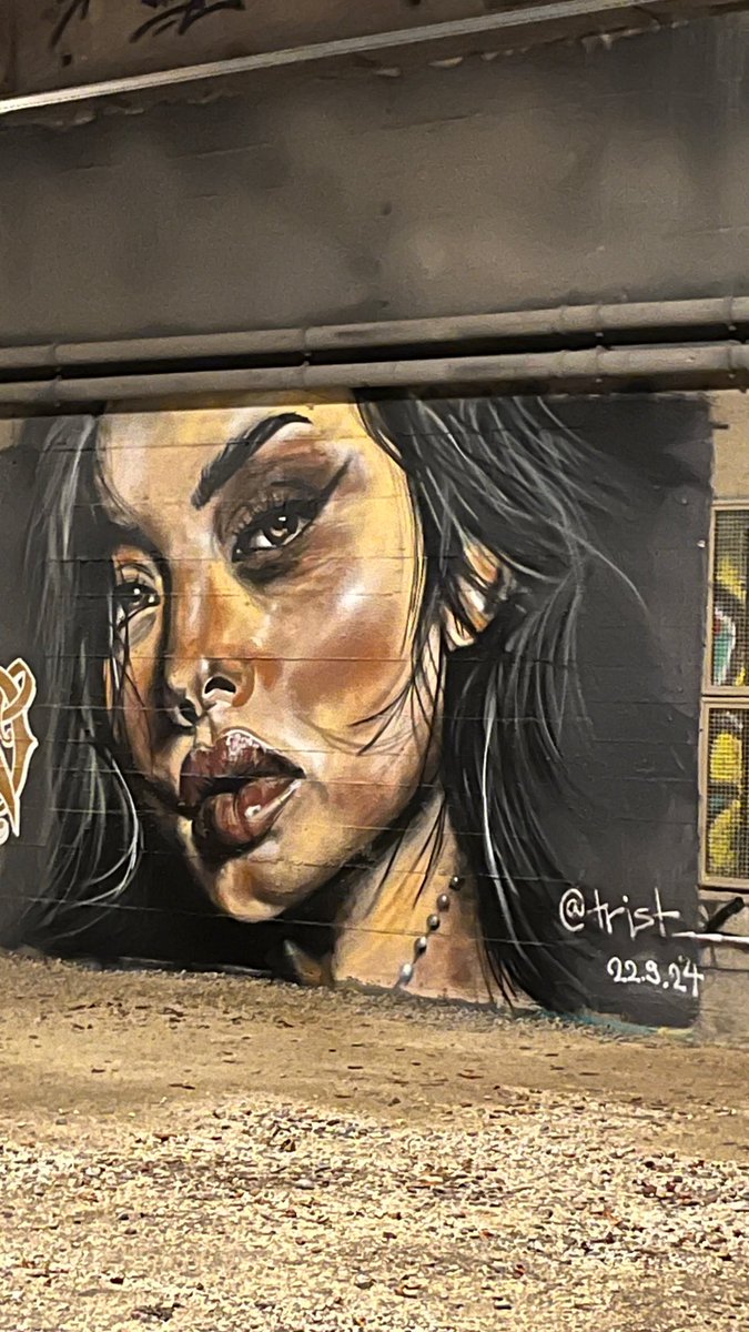 JoyceAraujoL 💚🫶🏽🇵🇦🌳 tweet media