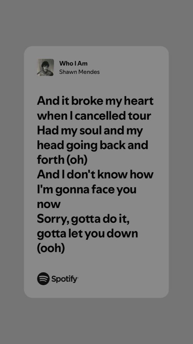 never ask a shawn mendes’ fan what she felt when she heard this lyrics