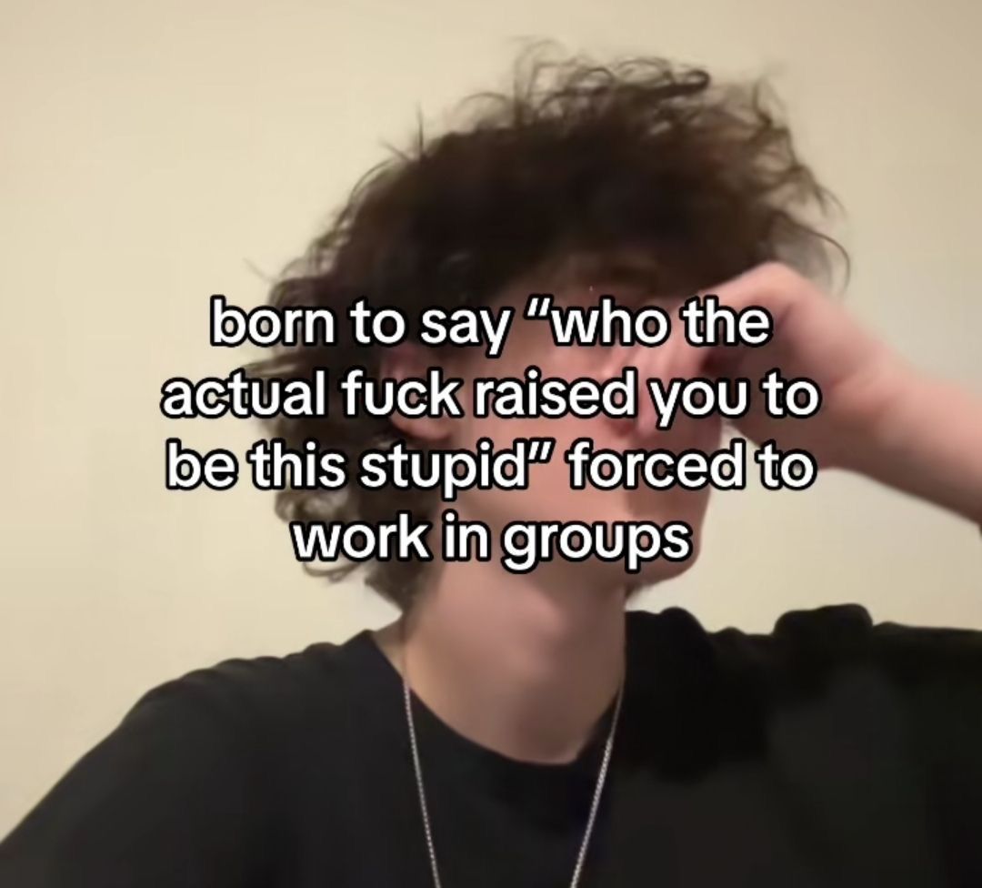 Wild TikToks (@wildtiktokss) on Twitter photo 