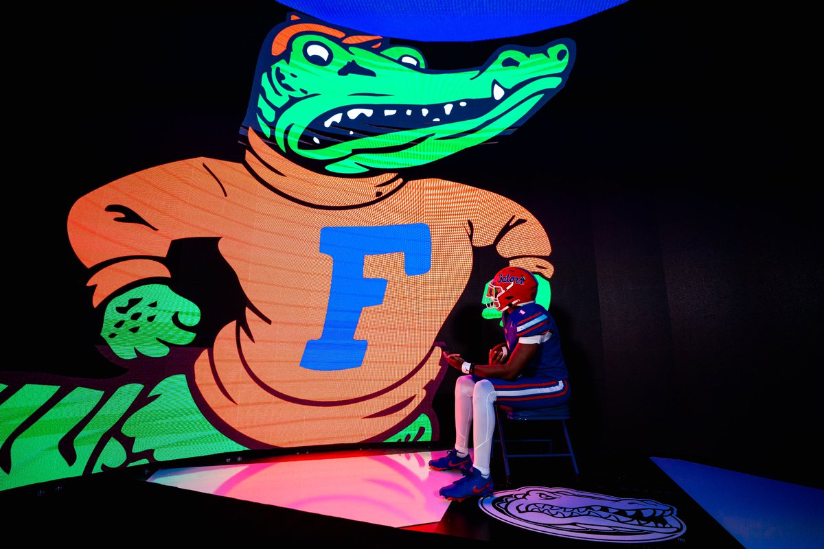 🐊🐊