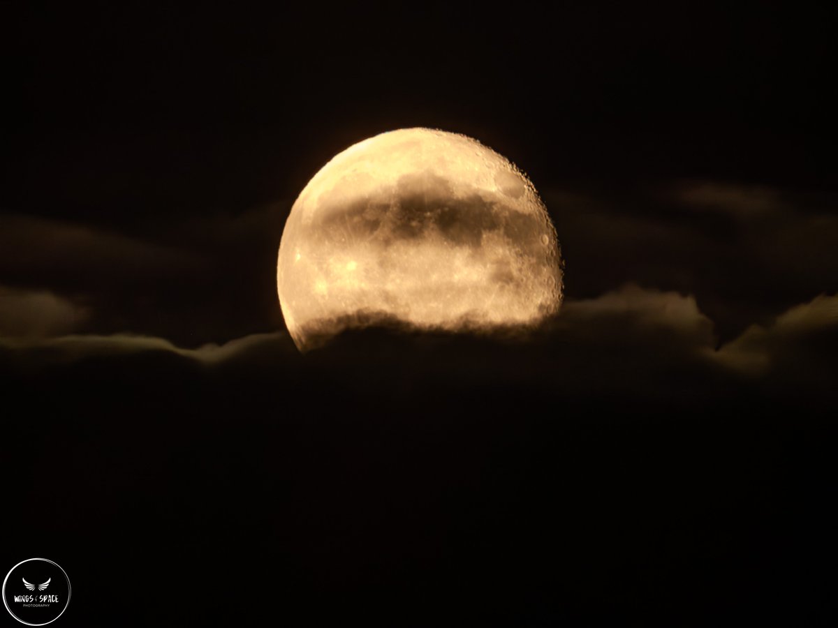 qooᴎꙄʏqooᴎꙄɘʜT (@thesnoopysnoop) on Twitter photo The moment the Moonrise breached past the clouds tonight, in to a thin gap between top & bottom cloud layers.
Elnath twinkling on the left
<a href="/MoonHourSocial/">#MoonHour™️Social</a> #MoonHour The moment the Moonrise breached past the clouds tonight, in to a thin gap between top & bottom cloud layers.
Elnath twinkling on the left
<a href="/MoonHourSocial/">#MoonHour™️Social</a> #MoonHour