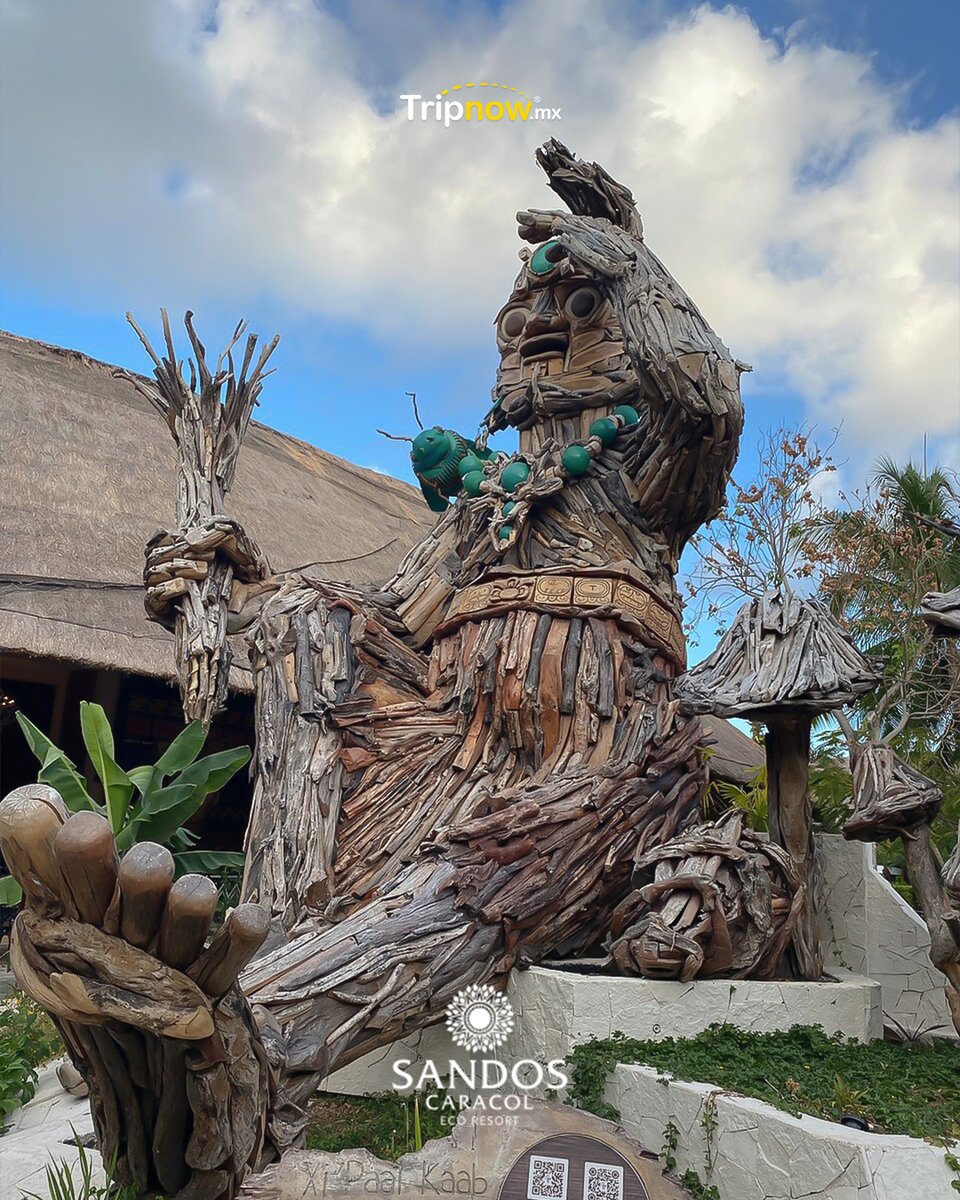 Tripnowmx's tweet photo. 🌿 ¡Descubre Sandos Caracol este Buen Fin! 🌊 Vive una experiencia única rodeado de naturaleza en este hotel eco-friendly en la Riviera Maya. Reserva ahora 👉 https://t.co/dejRSCLjJ5 

 #sandoscaracolecoresort #SandosResorts #rivieramaya #ReservaYA #Tripnowmx https://t.co/anA2a8iTvF