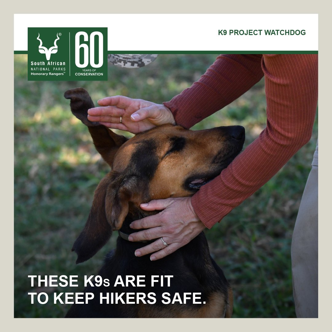 SANParks HR's tweet media