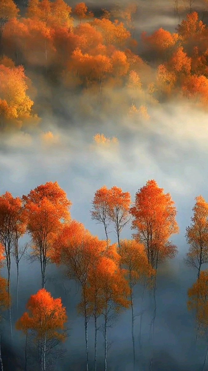 The true work of art is but a shadow of the divine perfection ~ Michael Angelo