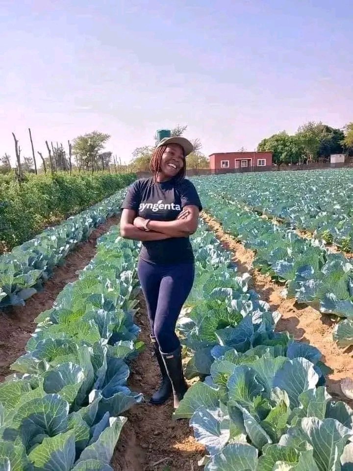 GeorgeLambert_1's tweet photo. Photos of Women in agriculture are very attractive to see . 

Bookmark so you can remember to quote this with your photo the farm. 

Repost to encourage other women to farm and provide food to the world. https://t.co/e9ZeaRSnA9