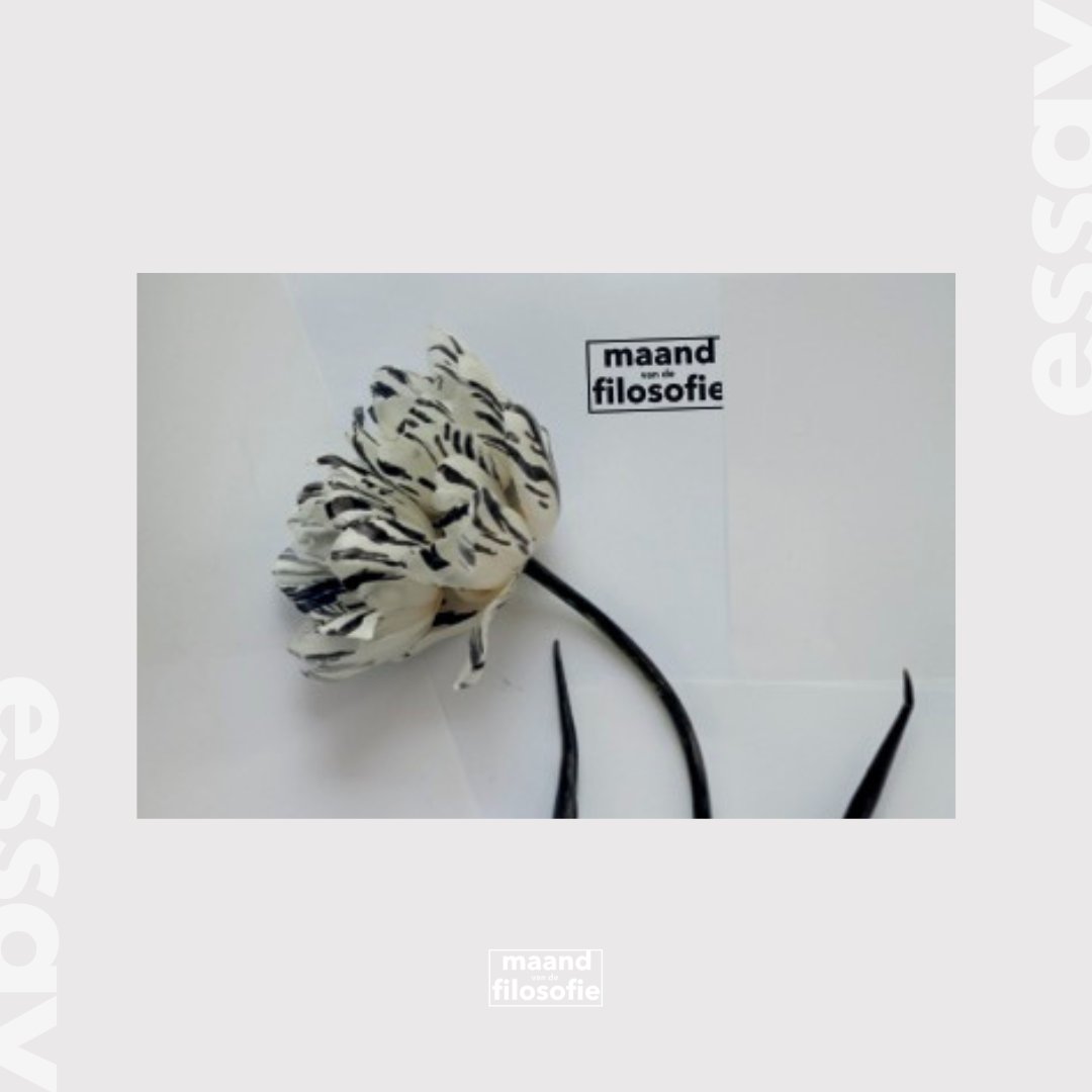 'Optimisme zonder hoop. Hoe gelukkig te zijn in een ongelukkige wereld.' #TommyWieringa schrijft het essay van de #MaandvandeFilosofie 2025. Hoe je in zo’n wereld kinderen grootbrengt en de moed vindt de goede dingen te blijven doen, vormt het hart van zijn betoog.