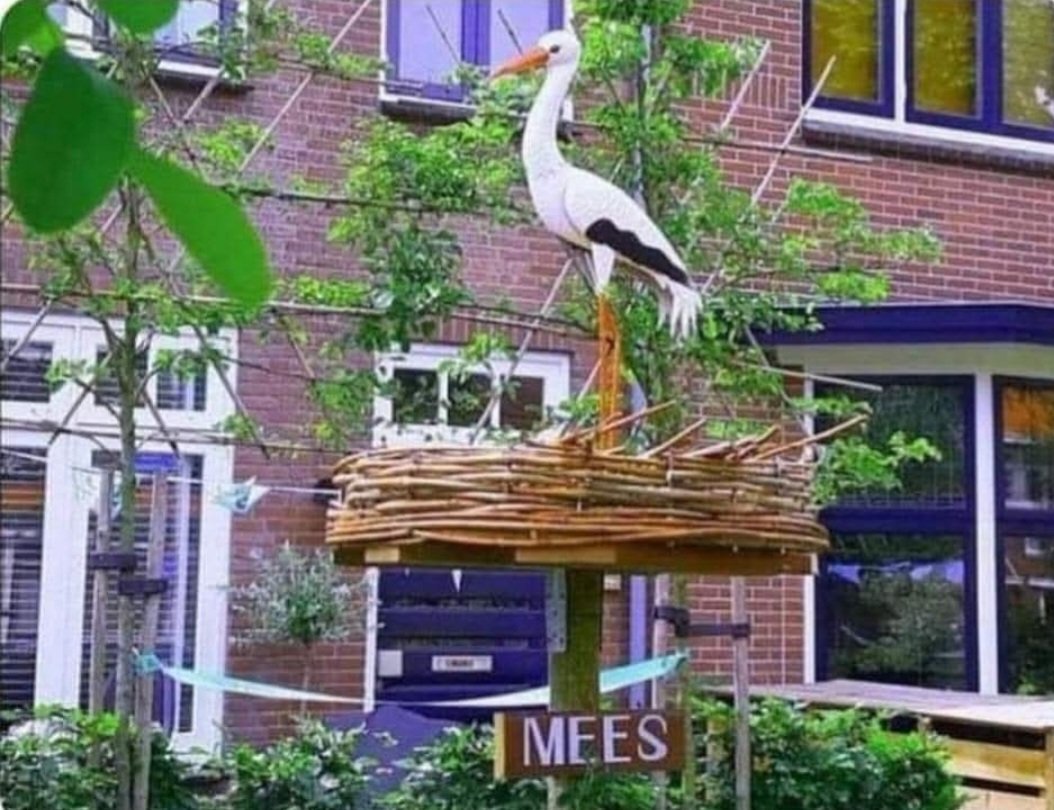 Wgoorman's tweet image. Dan heb je echt geen verstand van vogels.