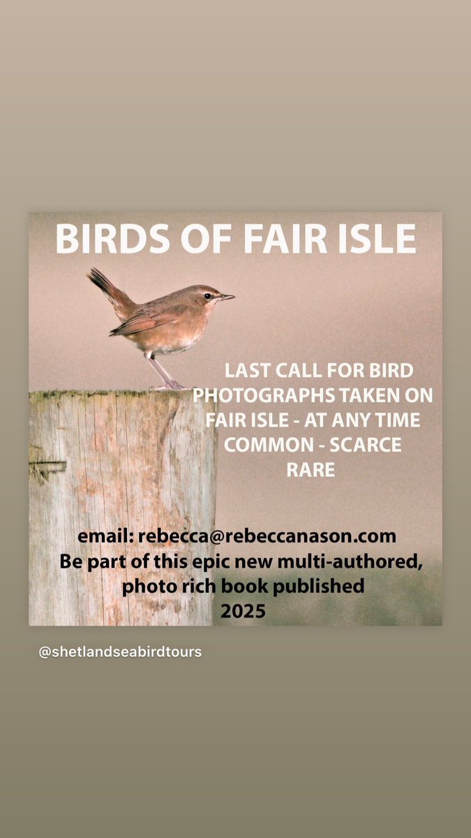 Please share!
<a href="/BirdGuides/">BirdGuides</a> <a href="/RareBirdAlertUK/">RareBirdAlertUK</a> <a href="/FI_Obs/">Fair Isle Bird Observatory</a> <a href="/birdobs_council/">BirdObs Council GB&I</a> <a href="/NatureInShet/">Nature in Shetland</a> <a href="/shetlandbirds/">Shetland Bird Club</a> <a href="/NRonBirdObs/">North Ronaldsay Bird Observatory</a> <a href="/Natures_Voice/">RSPB</a> <a href="/RSPBScotland/">RSPB Scotland</a> <a href="/ScottishBirding/">The SOC</a>