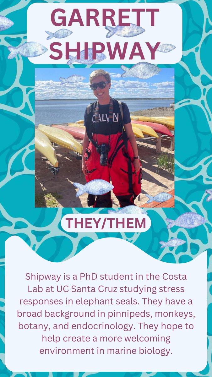 Next trans marine scientist is Garrett Shipway! Shipway is studying environmental-based stress responses in elephant seals, and has a diverse background in mammals, endocrinology, and even botany. Throughout their work, they aim to create more inclusive spaces in STEM.