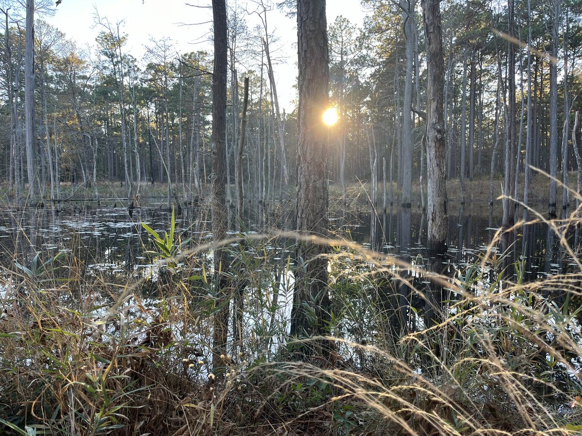 jonhuff1's tweet image. Could it be that we’re in the flesh, because we have left no space for stillness…

Romans 8:9 You, however, are not in the flesh but in the Spirit, if in fact the Spirit of God dwells in you. Anyone who does not have the Spirit of Christ does not belong to him