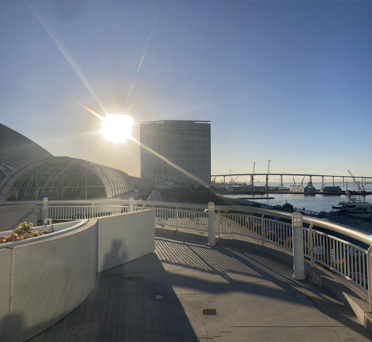 Dr Scott P Davies tweet media