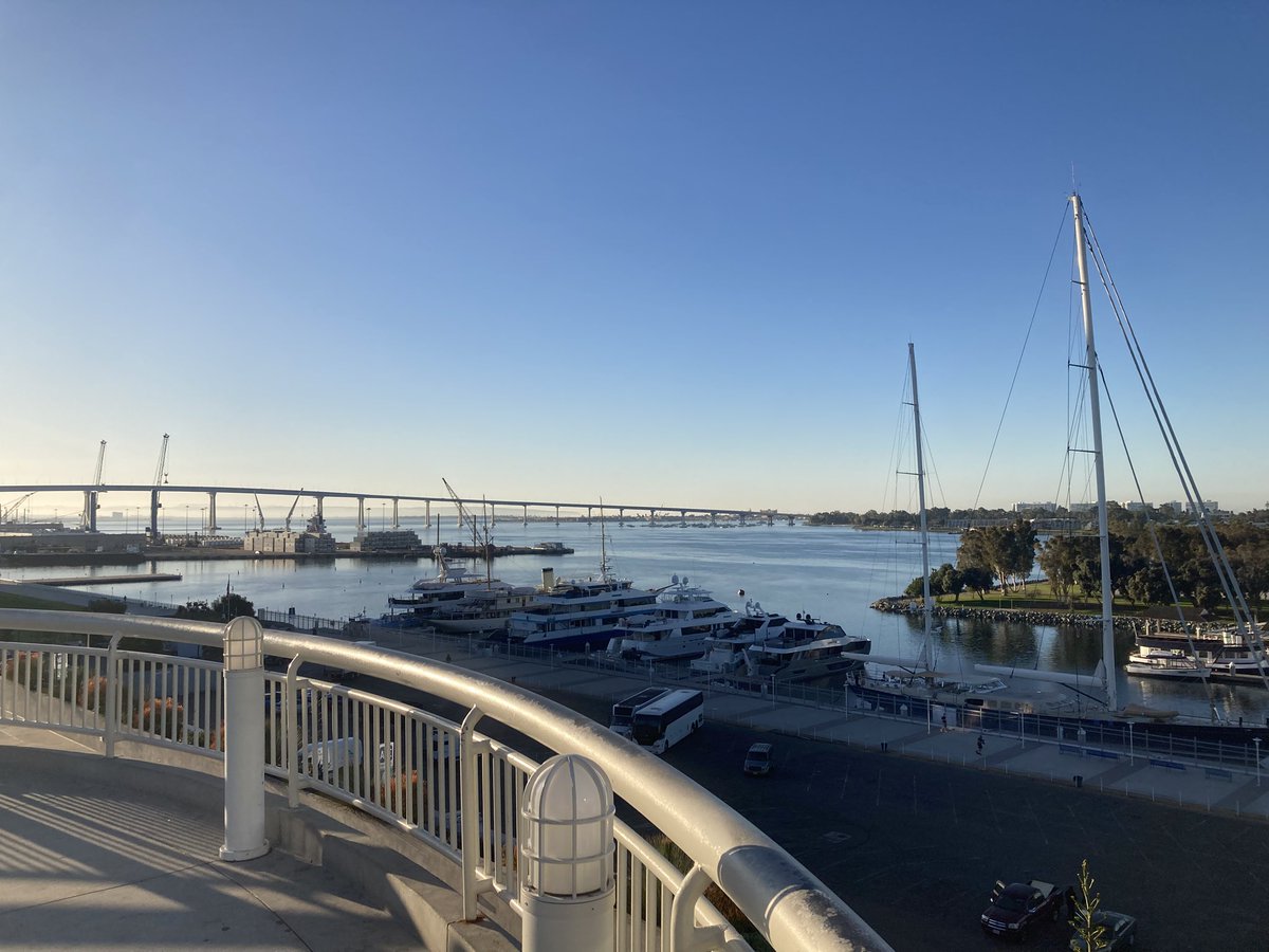 Dr Scott P Davies tweet media