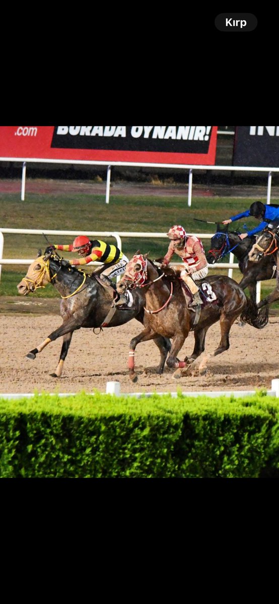 KV8 Nicobar
emeği geçen herkese teşekkürler #erayçizik