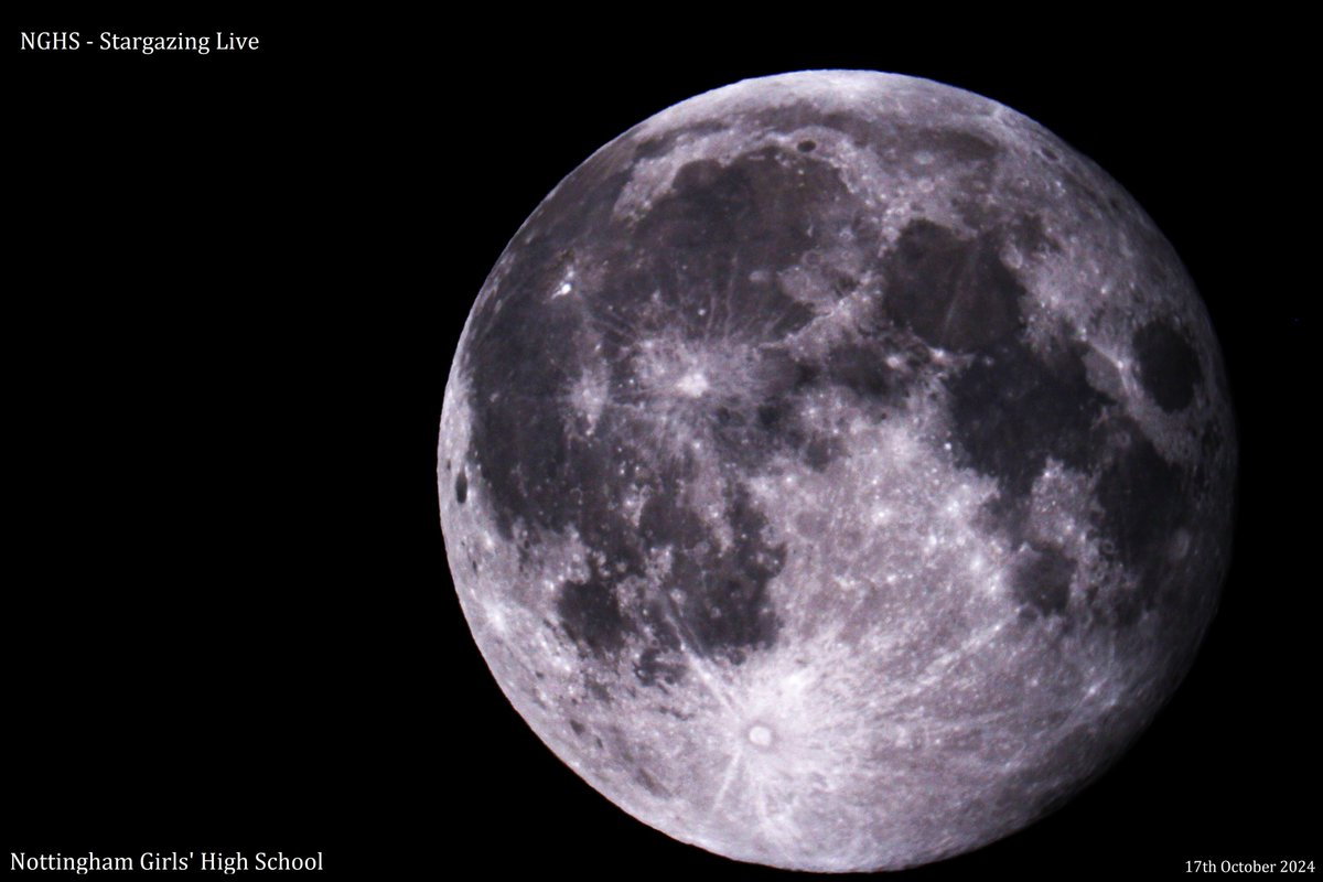 Notts boy24 tweet media