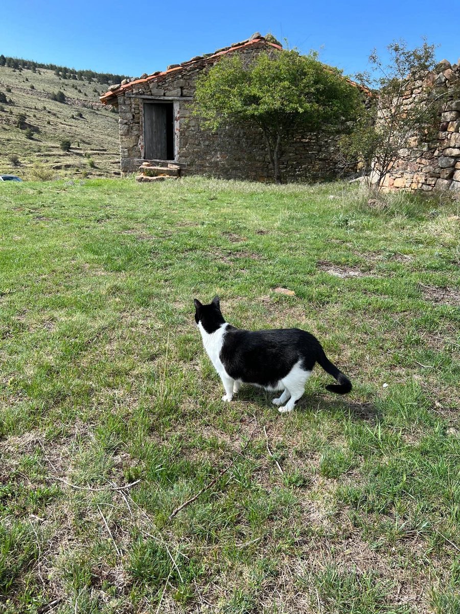 Monete 🦧 (@monetchandon) on Twitter photo 