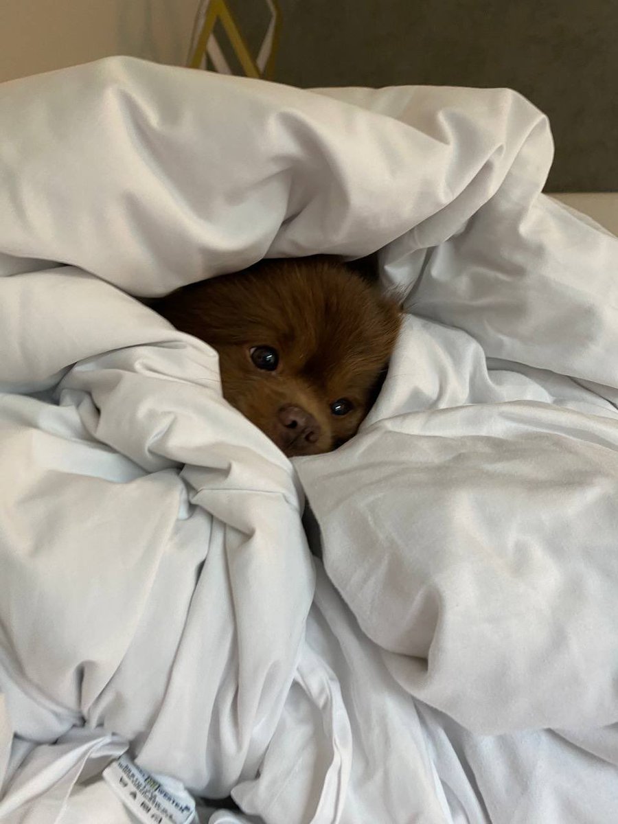 trader1sz's tweet image. 