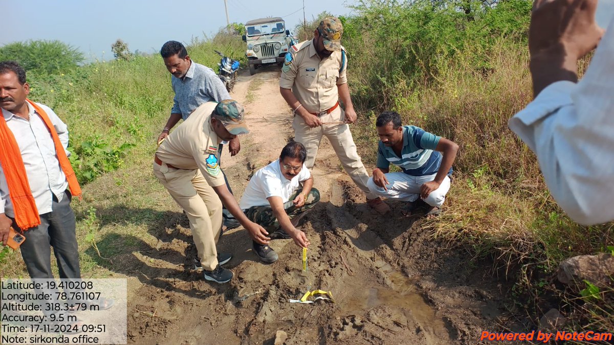 jsuryareddy's tweet photo. Tiger movement creates panic among the villagers in #Utnoor area, #Adilabad dist, spent sleepless nights as the tiger attacked cattle grazing near the forest.
Forest officials issued a Tiger alert in the Cheemanayak Tanda of Utnoor mandal, #Telangana , as #Tiger 🐅 #Pugmarks were discovered in the region. Forest officials have urged the farmers not to venture into the cotton fields alone and requested them to temporarily avoid letting their cattle roam freely.
They cautioned locals that any harm or electrocute the tiger would lead to serious consequences, including legal action and imprisonment.