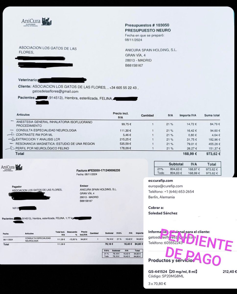 esta es Lentejita, tiene 6 meses y la encontramos en una colonia completamente tetrapléjica

sus facturas ya van por más de 1500€ y necesitamos ayuda para salvarla

si podéis difundir o ayudar, os lo agradecería en el alma ❤️

bizum: 605552243 / 649778304