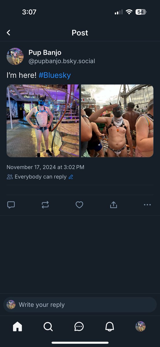 Pup Banjo tweet media