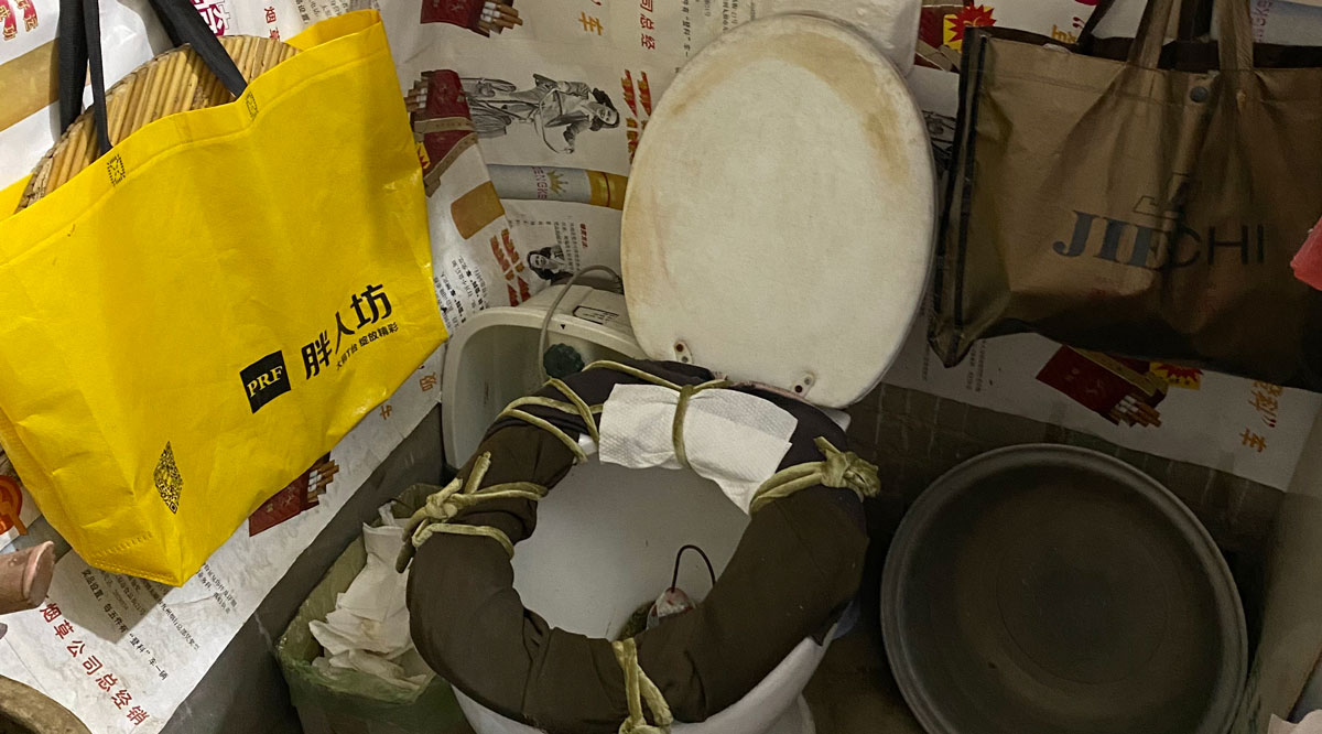 Yuan Zhang considers how the Toilet Revolution addresses affective and cosmological tensions in the everyday and spiritual lives of rural Chinese people.
roadsides.net/zhang-012/