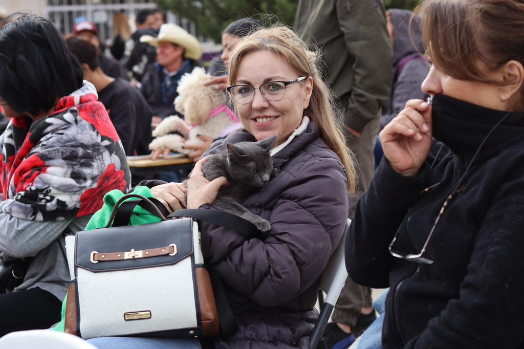 AndreaChavezTre's tweet photo. Hoy celebramos nuestra Feria de Bienestar Animal en  Cuauhtémoc, junto a los diputados federales de esta hermosa región, Nono Corral y Greycy Durán, donde ofrecimos servicios de esterilización a muy bajo costo, y servicios de vacunación y desparasitación completamente gratuitos. 

Además, celebramos un “croquetón” donde recaudamos media tonelada de comida para los perritos y gatitos que más lo necesitan. 

Agradecemos de corazón el trabajo maravilloso de la Asociación Súper Huellitas y de la Clínica Veterinaria Sayto. Seguiremos trabajando para aprobar las reformas constitucionales contra el maltrato animal, y en defensa de los seres sintientes.