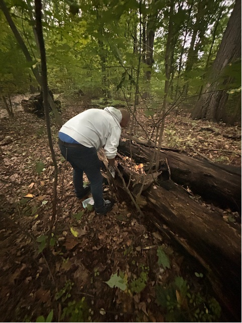 US Geocaching Hour tweet media