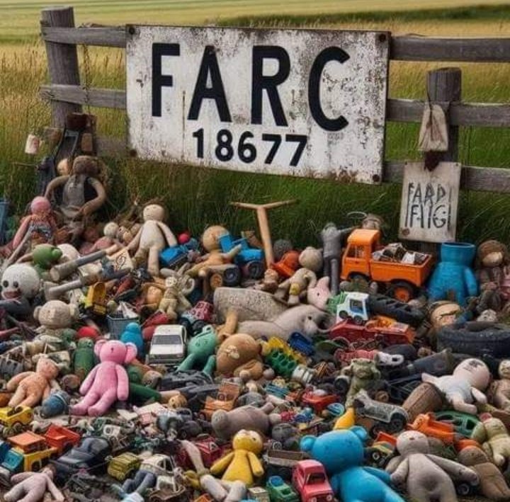 CoronelHSmith's tweet photo. Ni perdón ni olvido.. por todos los niños y niñas de colombia. https://t.co/2RZf09gLNV