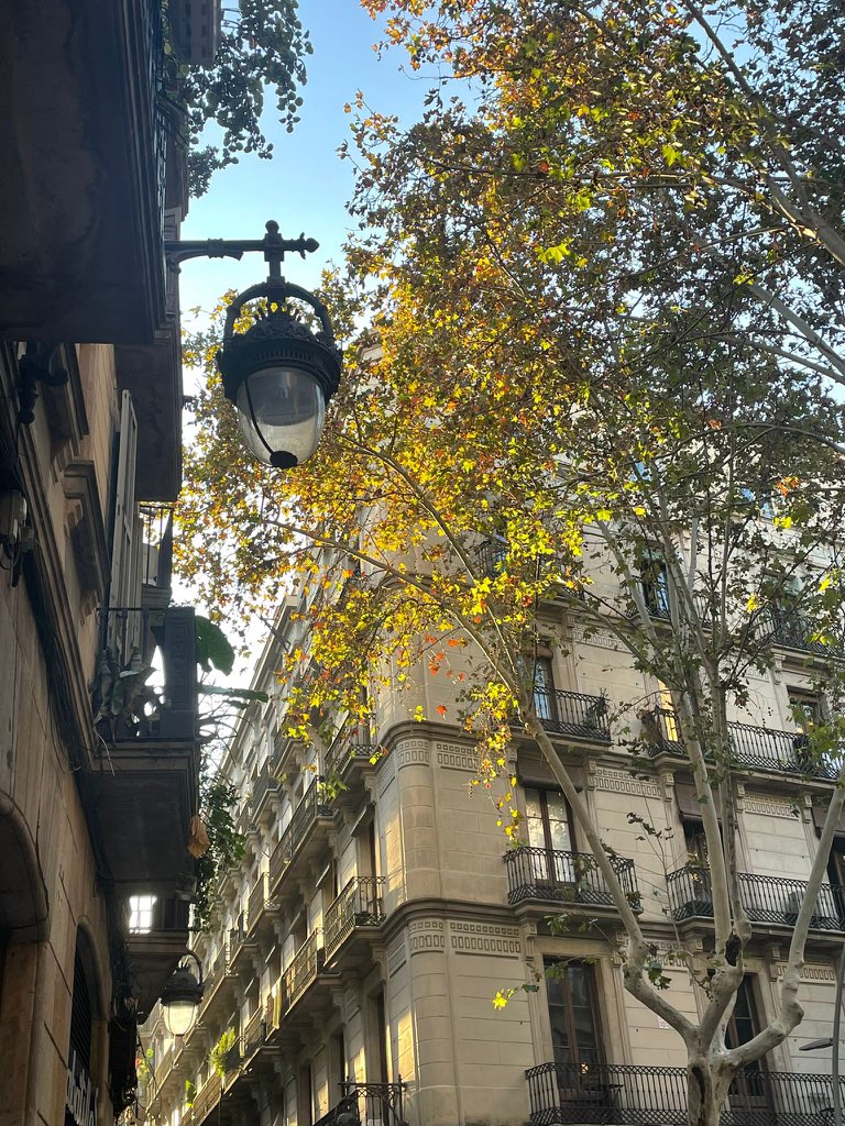 La vida con Gonzalo solo se pone mejor parte 162783