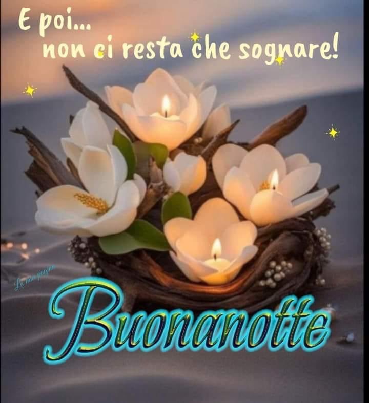 RITABIANCHi56 tweet media