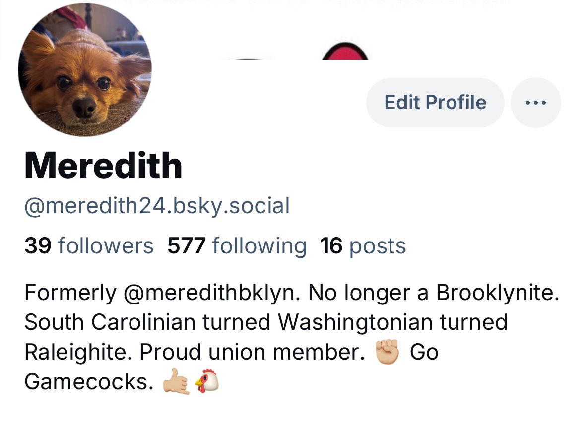 MeredithBklyn's tweet image. 👋🏼