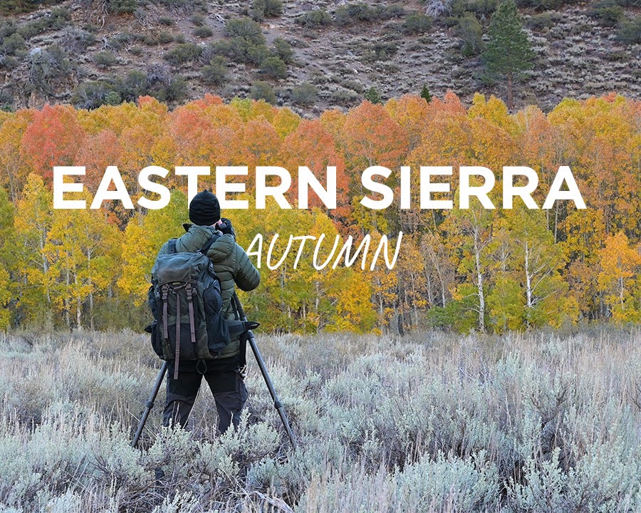 dsafanda's tweet image. It's been too long but I finally have a new video up on YouTube.
youtu.be/o93t2G1IXb0

#landscapephotography