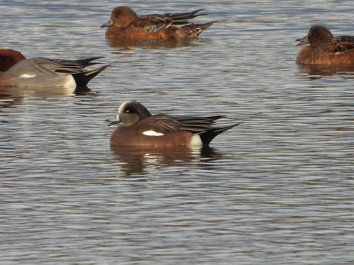 Duncan Bye tweet media